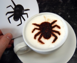 Halloween Spider Stencil